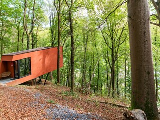 Casa per le vacanze La Roche-en-Ardenne Registrazione all'aperto 9