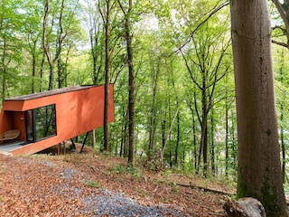 Ferienhaus La Roche-en-Ardenne Außenaufnahme 9