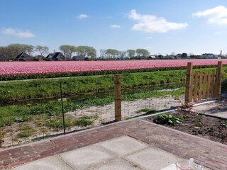 Maison de vacances Sint Maartenszee Environnement 21