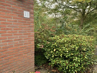 Maison de vacances Sint Maartenszee Enregistrement extérieur 6
