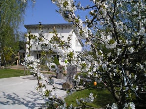 Ferienwohnung Nr. 4 im Ferienhaus Lutizen-Quartier - Berlin - image1