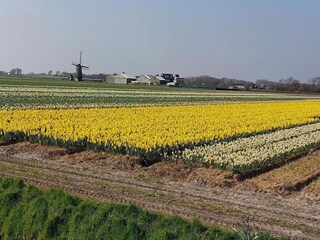 Holiday house Sint Maartenszee Environment 29