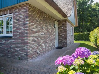 Ferienhaus Sint Maartenszee Außenaufnahme 6