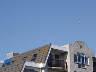 Ferienhaus Petten Außenaufnahme 3