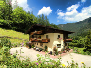 Holiday apartment Apartments Waldeck at country of Salzburg - St. Martin bei Lofer - image1