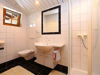 Appartamento per vacanze St. Martin bei Lofer Caratteristiche 8