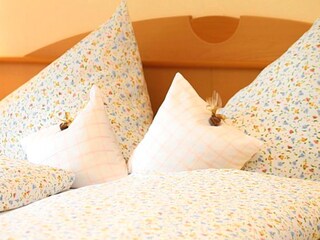 Appartamento per vacanze St. Martin bei Lofer Caratteristiche 7