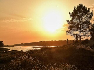 Vakantiehuis Longeville-sur-Mer Omgeving 35
