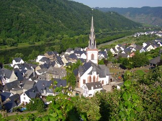 Appartamento per vacanze Ediger-Eller Ambiente 14