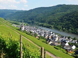 Appartamento per vacanze Ediger-Eller Ambiente 15