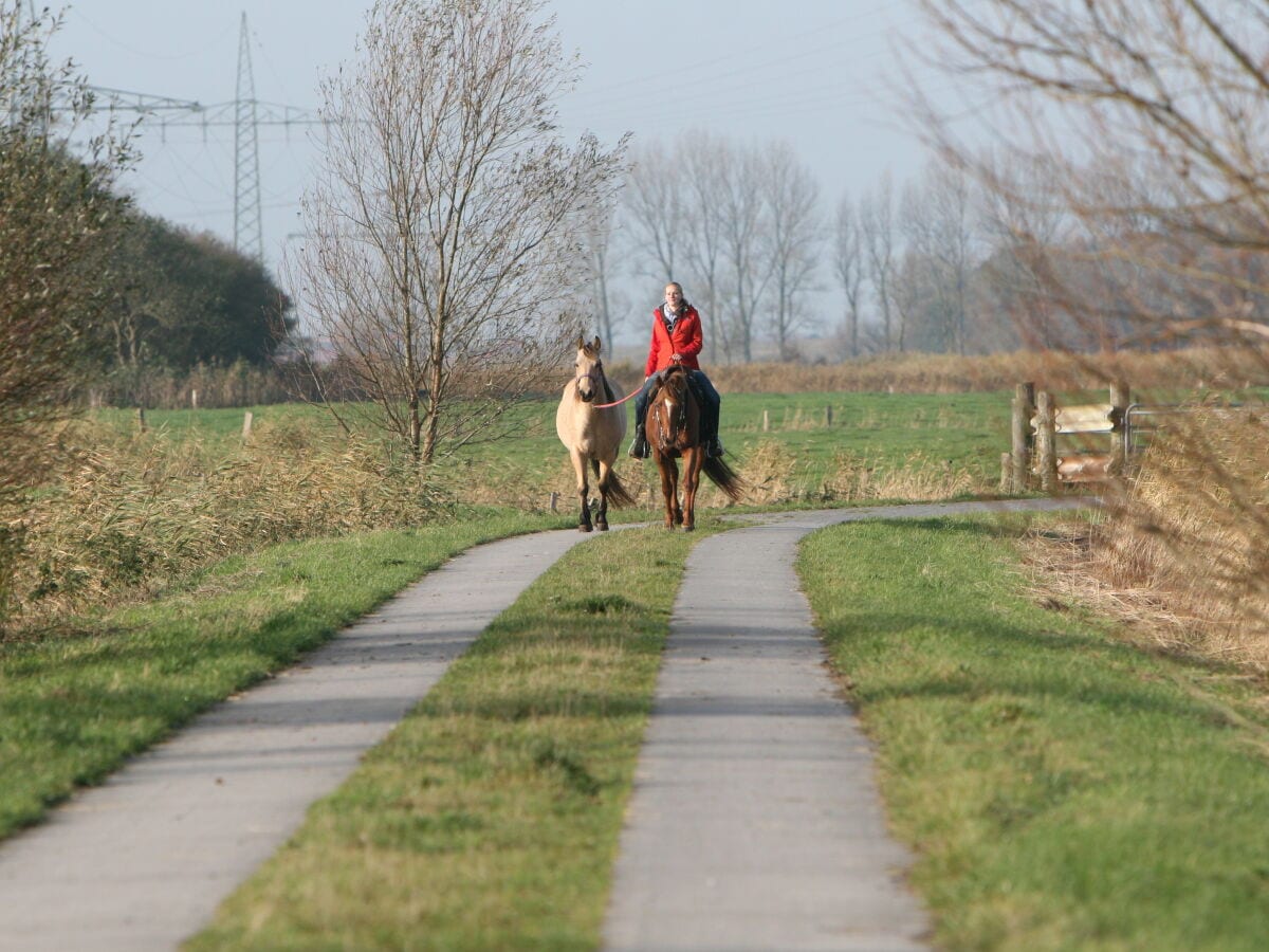 Pretty Horse Farm