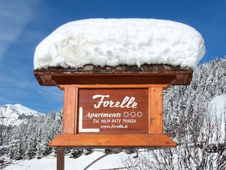 Apartamento de vacaciones Wolkenstein in Gröden Documento 25