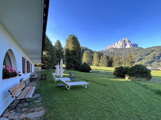 Large, well-kept garden almost surrounding the house