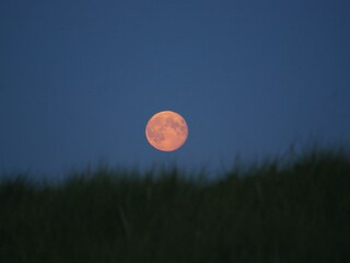 Vollmond