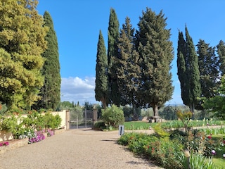 Vakantieappartement Scandicci Buitenaudio-opname 8