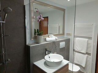 Villa Lovran Caratteristiche 30