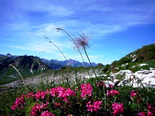 Apartamento de vacaciones Oberstdorf Entorno 18