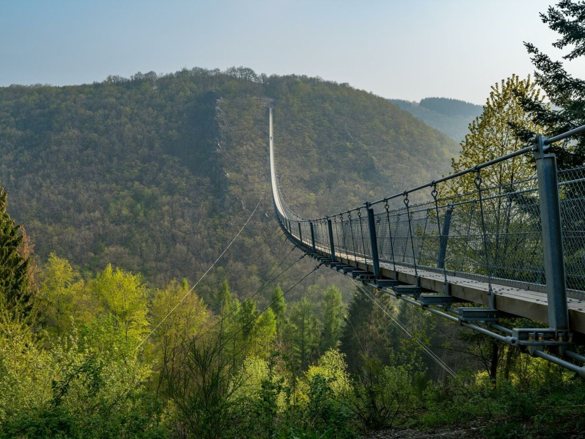 Hängeseilbrücke Geierlei