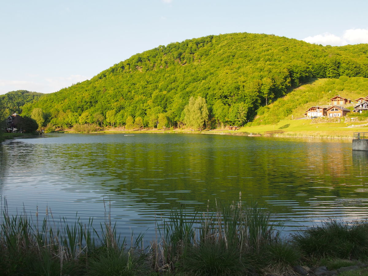 Waldsee Rieden