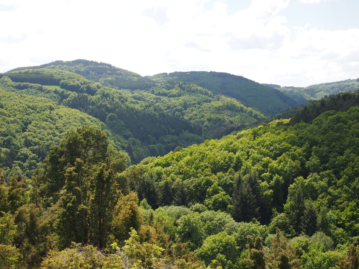 Panorama-Ausblick