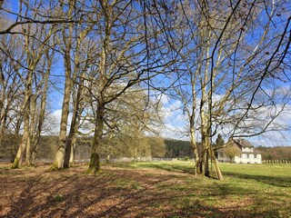 Kleines Wald unmittelbar an dem Garten des Ferienhauses