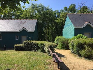 Cottage Chênehutte-Trèves-Cunault Außenaufnahme 8