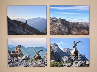 Appartamento per vacanze Oberstdorf Caratteristiche 9