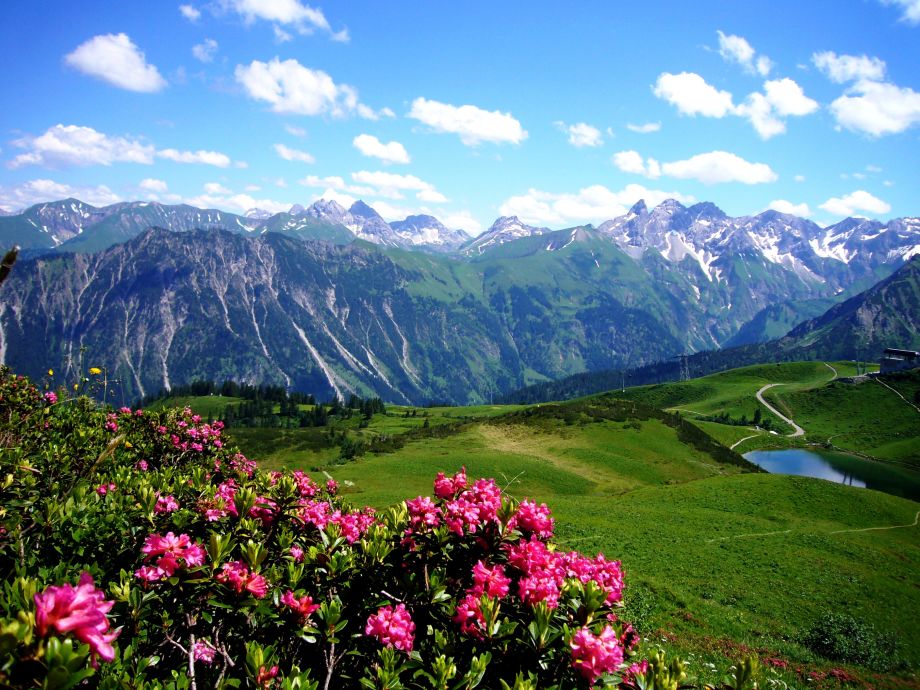 Bergwelt Ferienwohnung 223, Bayern, Allgäu, Oberallgäu, Oberstdorf Firma Bergwelt Bergwelt Ferienwohnung 223, Bayern, Allgäu, Oberallgäu, Oberstdorf Firma Bergwelt