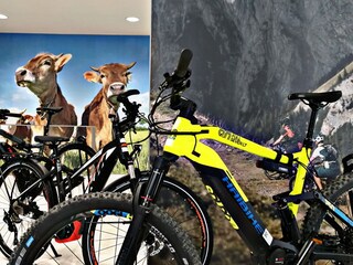 Appartamento per vacanze Oberstdorf Ambiente 13