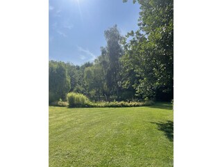 Blick in den Garten
