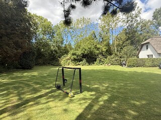 Blick in den Garten