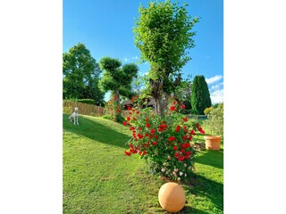 Unser Garten