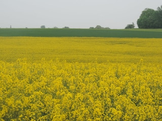 Umgebung