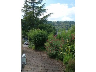 Ferienwohnung Enkirch Umgebung 4