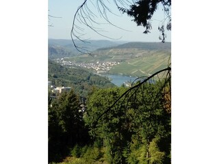Ferienwohnung Enkirch  14
