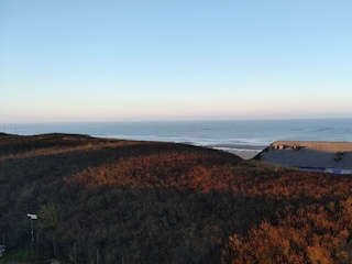 Blick aus dem Dachfenster