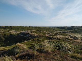 Ferienwohnung Westerland Umgebung 27