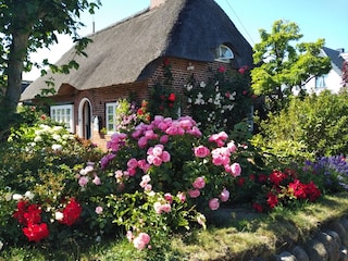 Ferienwohnung Westerland Umgebung 28