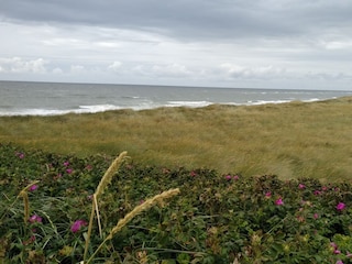 Ferienwohnung Westerland Umgebung 32