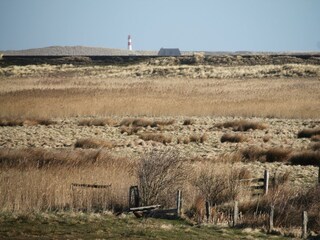 IMG_4682