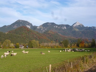 Blick auf den Wendelstein