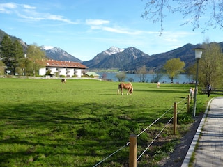 Aussicht von den Ferienwohnungen