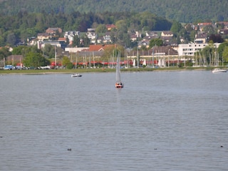 Segeln auf dem Untersee