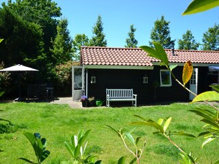 Appartamento per vacanze Bergen (Holland) Registrazione all'aperto 3