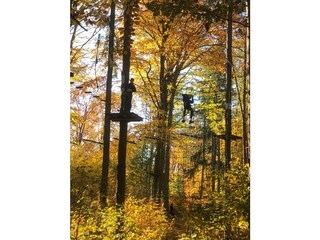 Appartamento per vacanze Koserow Ambiente 20