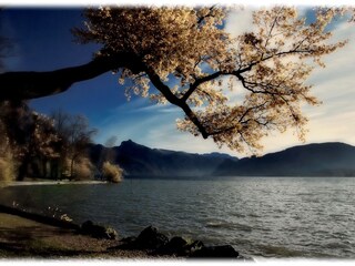 Appartamento per vacanze Altmünster Ambiente 12