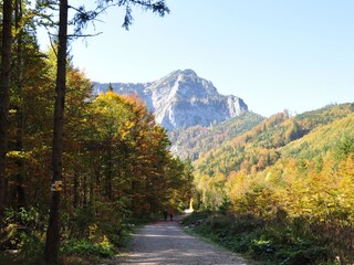 Appartamento per vacanze Altmünster Ambiente 14