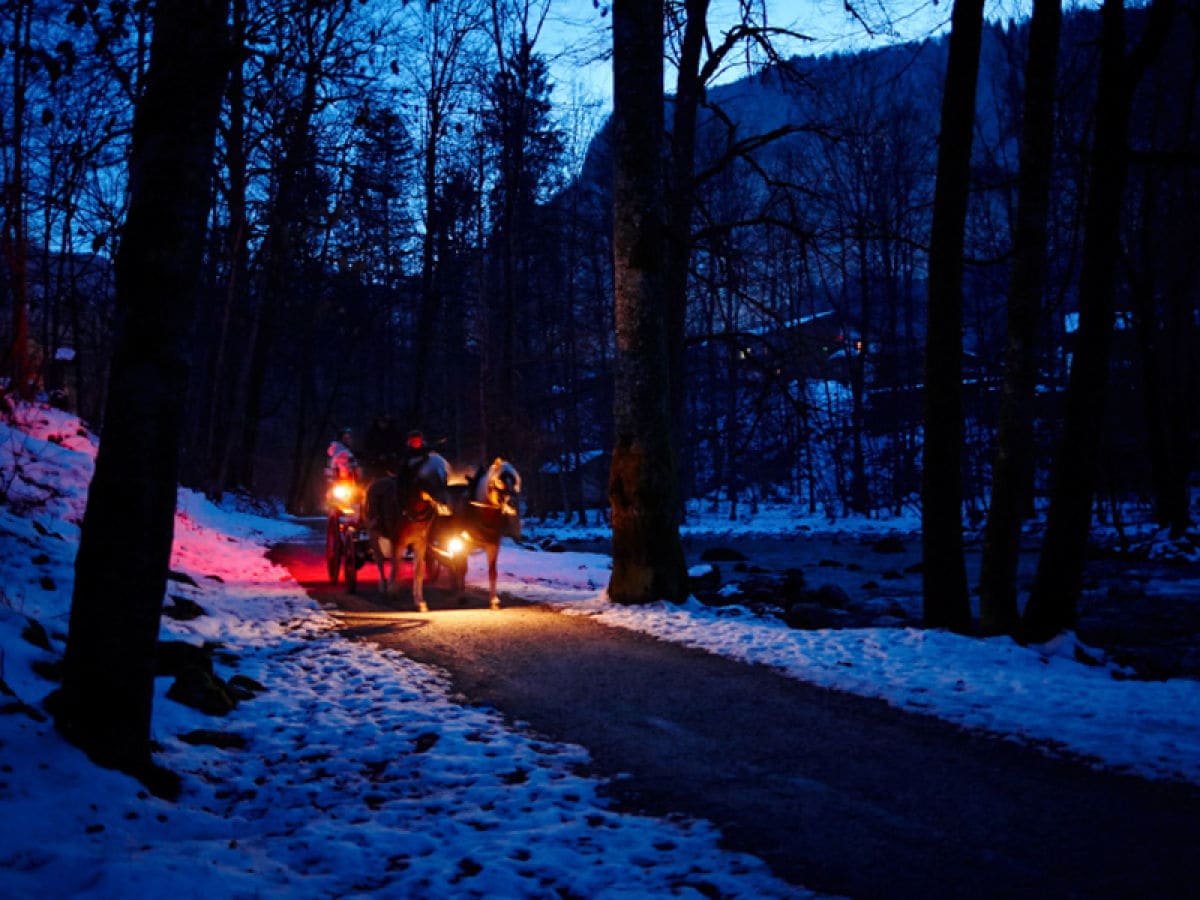 Romantische Kutschfahrt durch den Wald