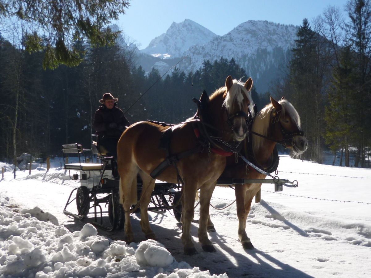 Ferienwohnung Schönau am Königssee Umgebung 20