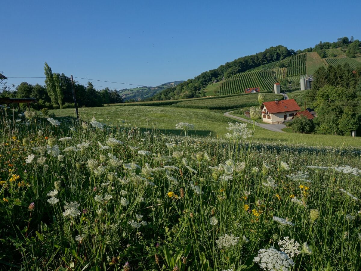 Blick auf den Hausberg des Hofes; Burgstallkogel